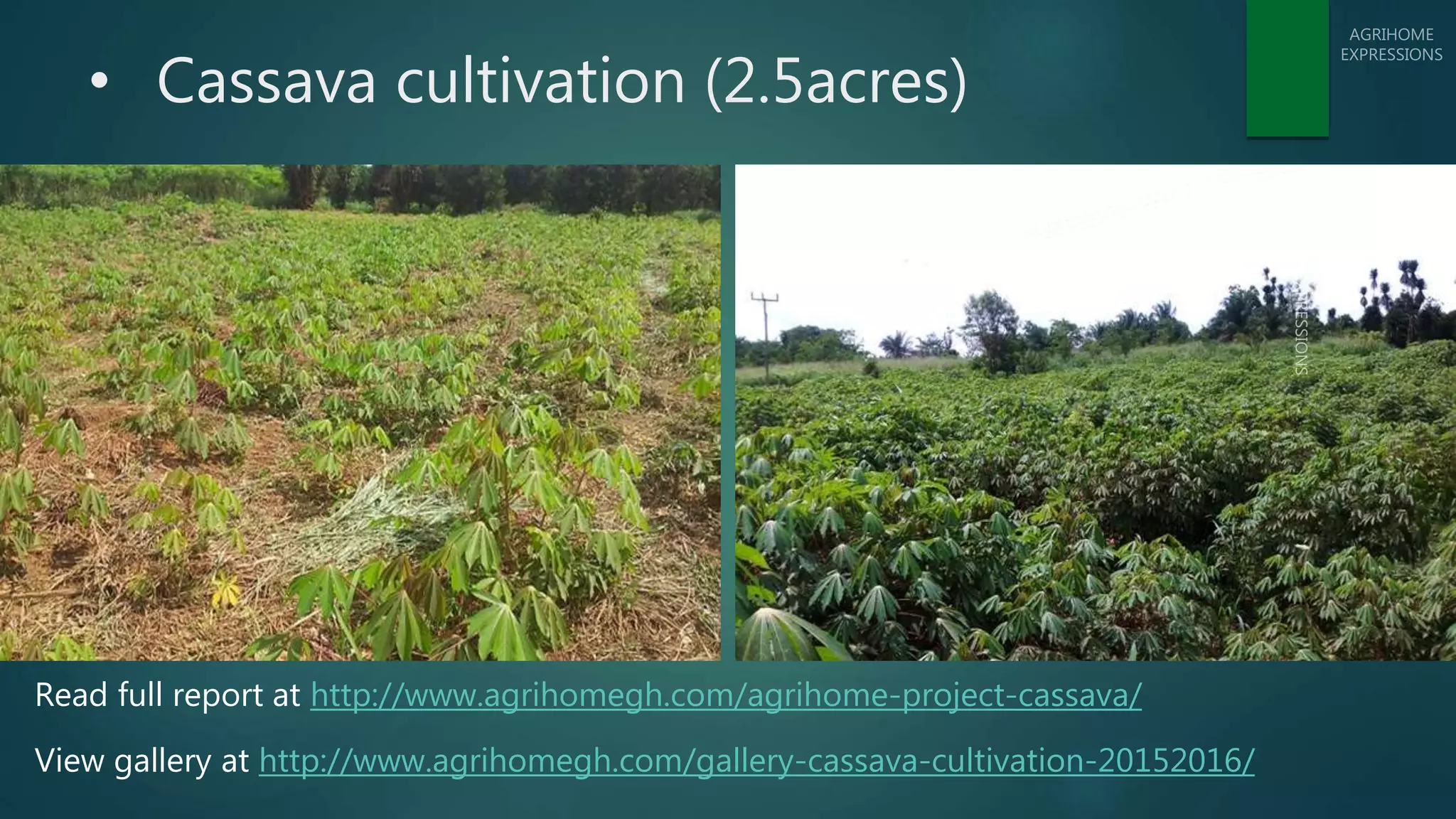 Slide 10