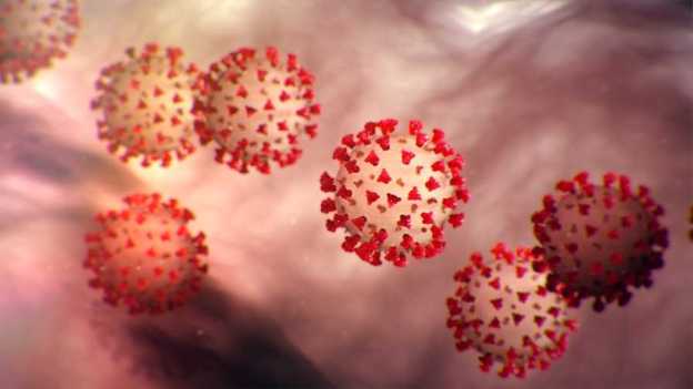 The fast-spreading of Coronavirus (COVID-19) is having and major impact on world economics. Agriculture is no exception.