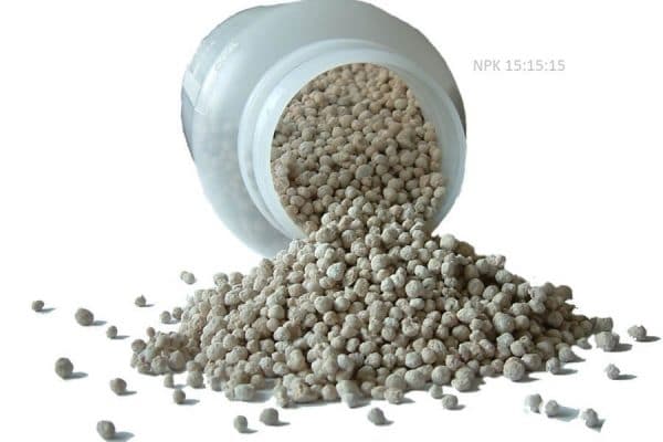 inorganic fertilizer