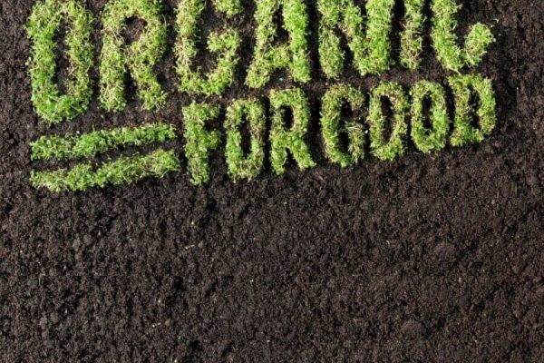 organic farming