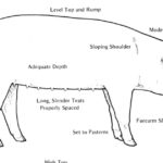 Swine Breeding Stock