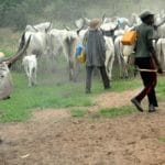 Nomadic Fulani Herdsmen