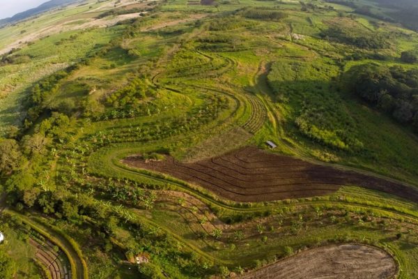site selection for farming purposes