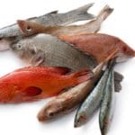 Commercial Fish Types